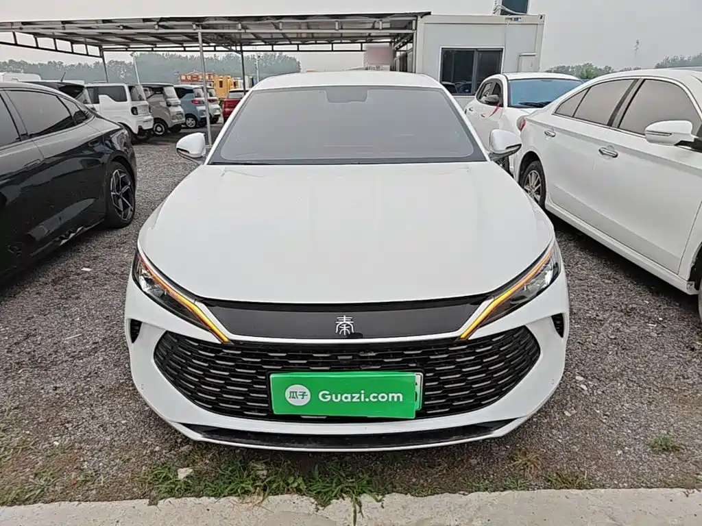 Qin L DM-i 80 KM Transcend