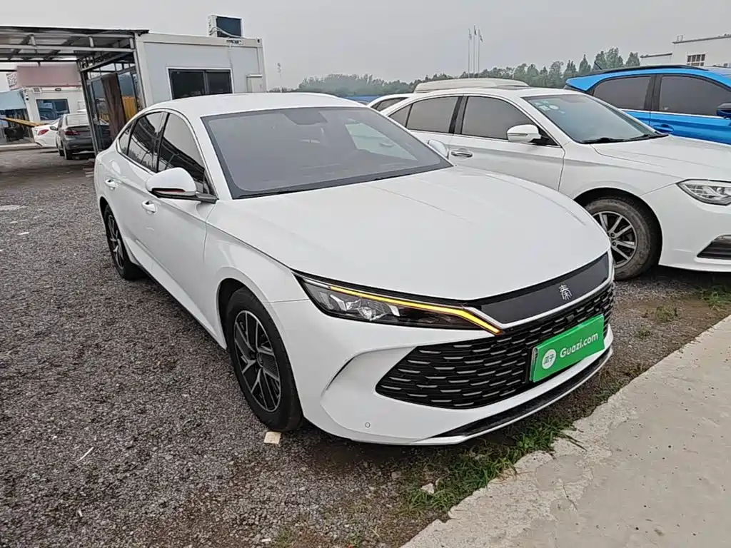 Qin L DM-i 80 KM Transcend