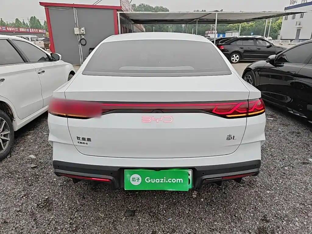 Qin L DM-i 80 KM Transcend