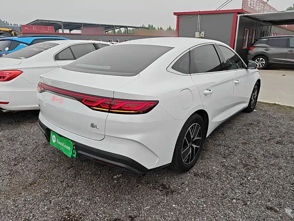 Qin L DM-i 80 KM Transcend
