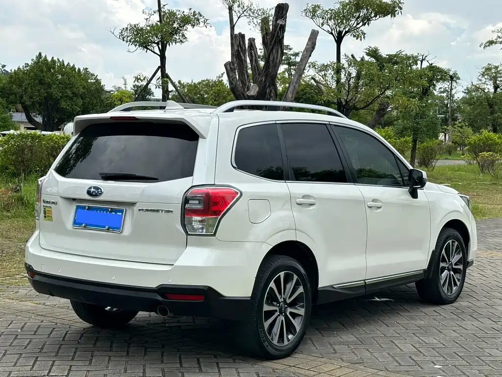 Forester 2.0 i Fashion Navigation