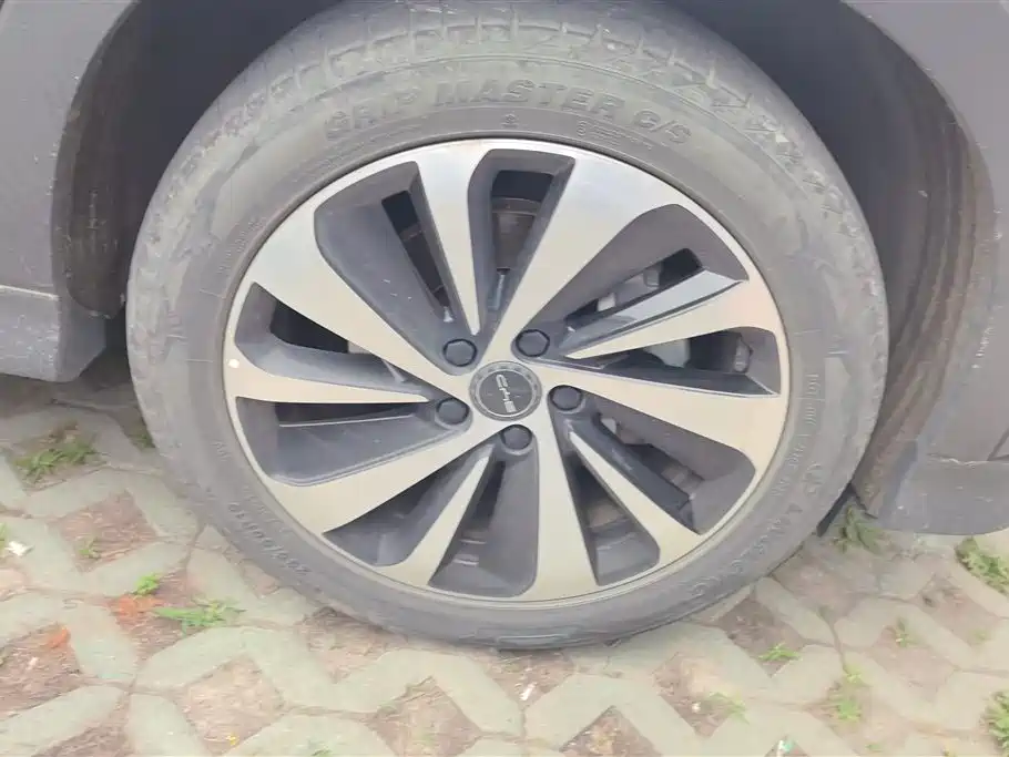 Song PLUS NEV Champion DM-i 110 KM Flagship PLUS