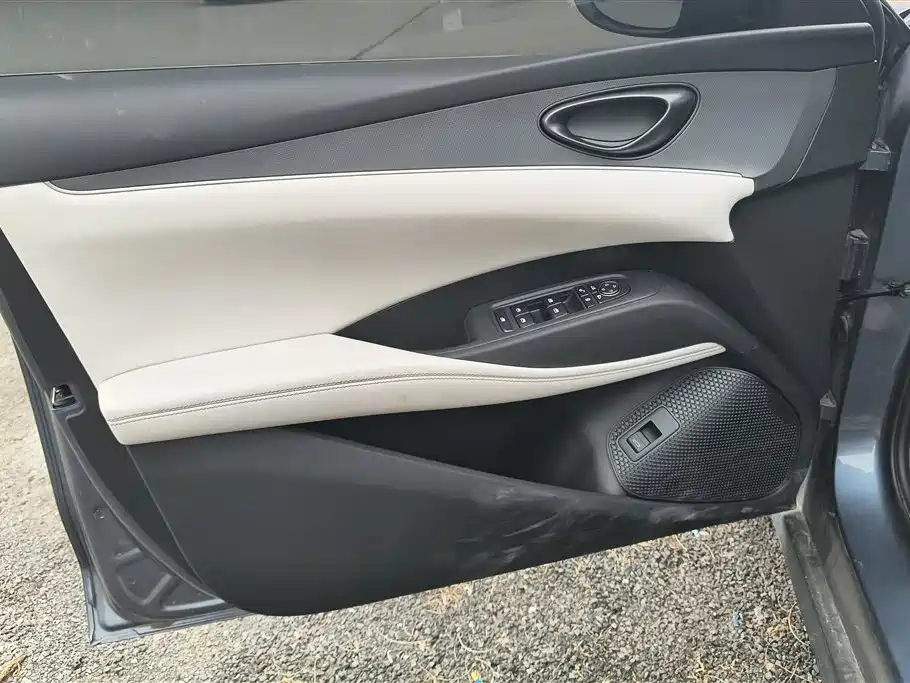 Seal 06 DM-i 80 KM Luxury