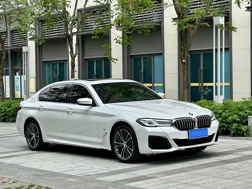 BMW 5 Series 530 Li Leading M Sport Package