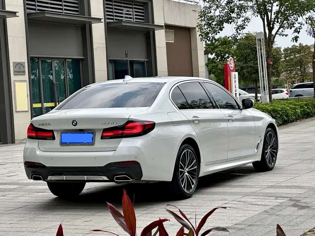 BMW 5 Series 530 Li Leading M Sport Package