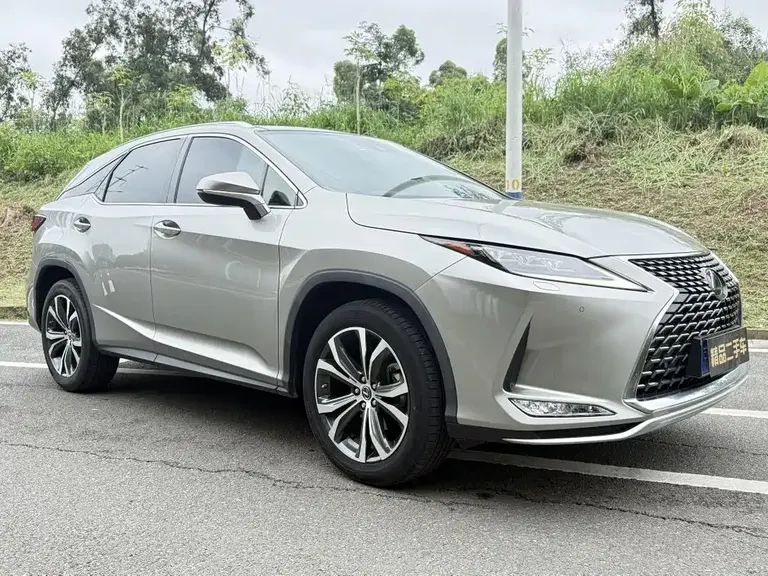 Lexus RX 300 4 WD Elegant CN-VI