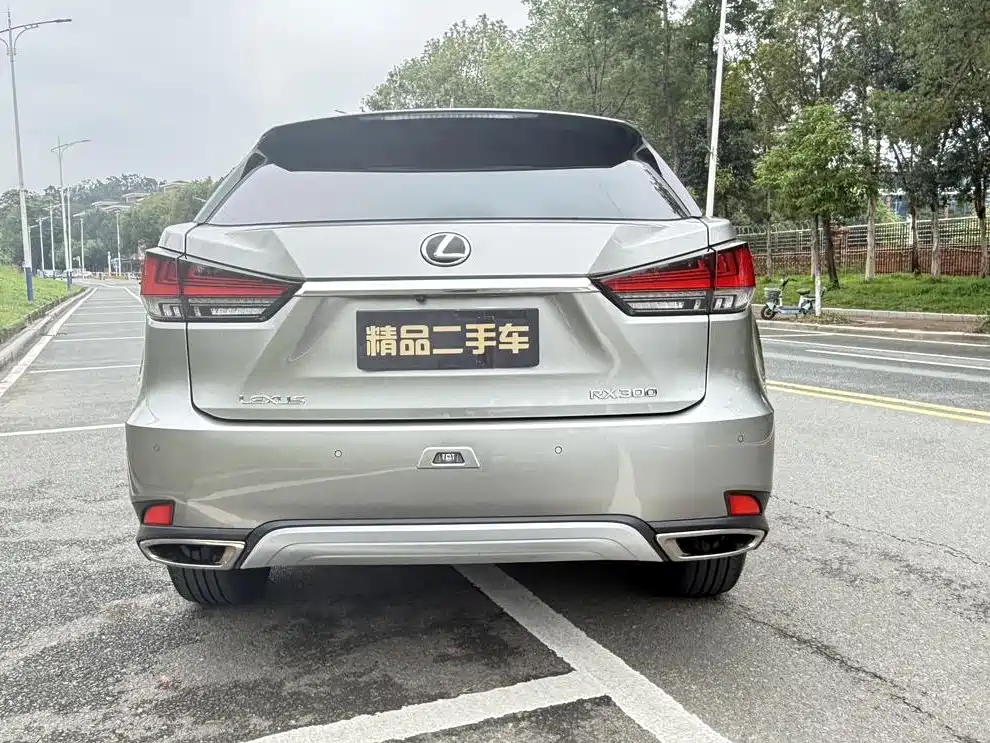 Lexus RX 300 4 WD Elegant CN-VI