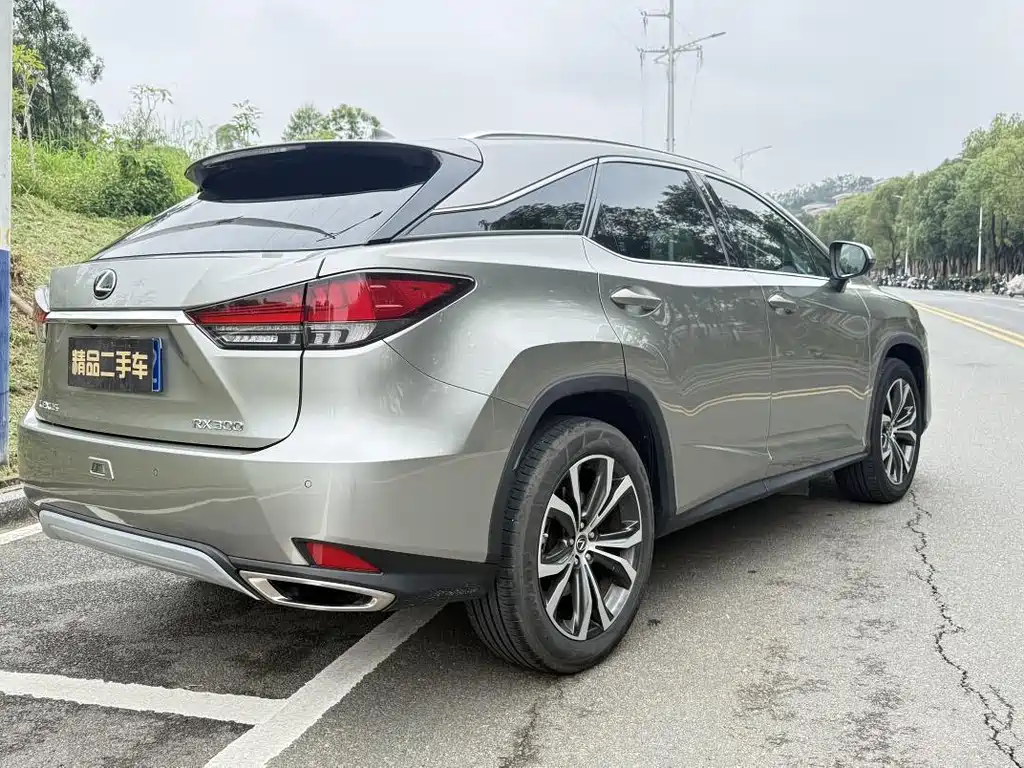 Lexus RX 300 4 WD Elegant CN-VI