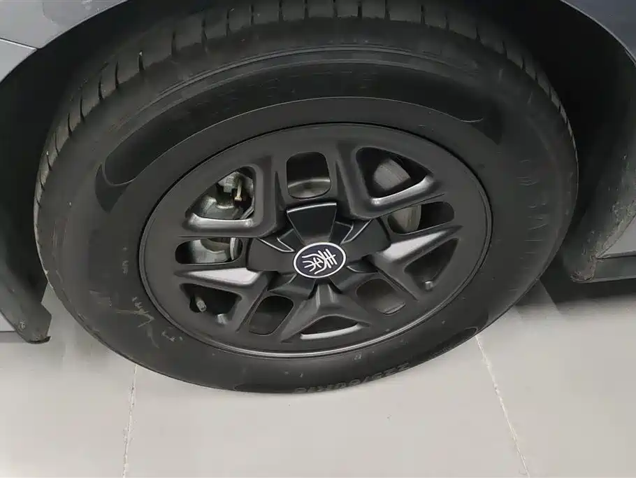 Qin PLUS DM-i Smart Drive 55 KM Leading