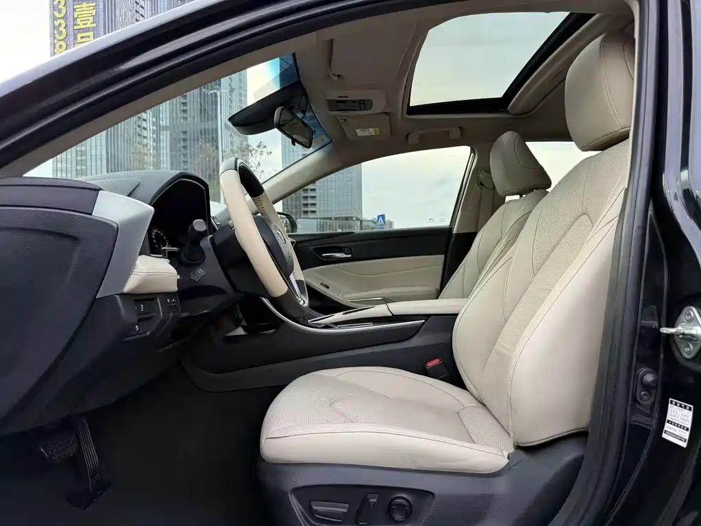 Avalon 2.0 L Luxury CN-VI
