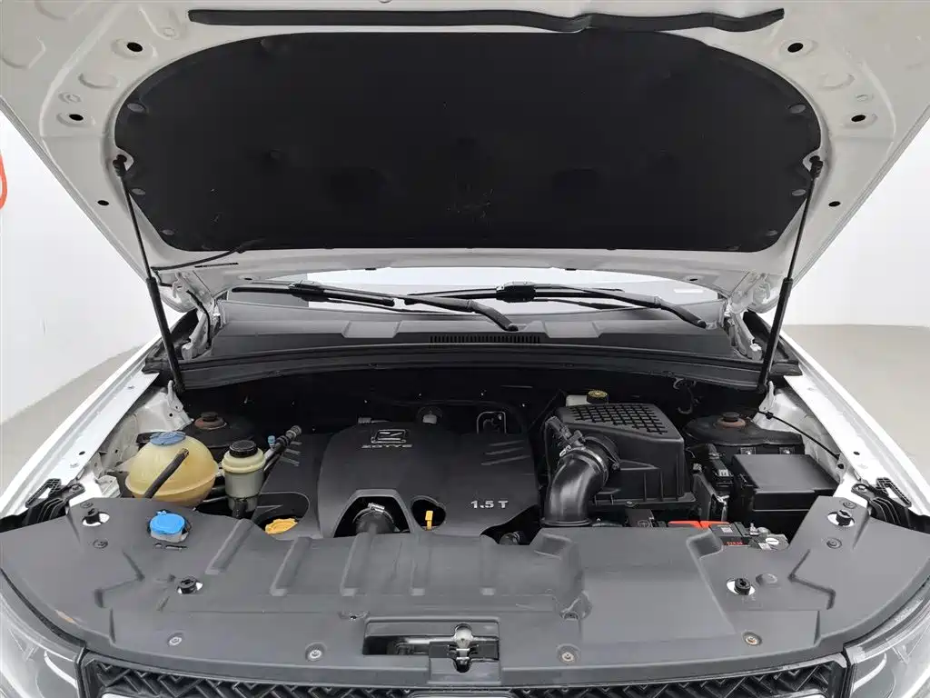 Zotye T600 众泰T600 2016款 运动版 1.5 T 手动尊贵型