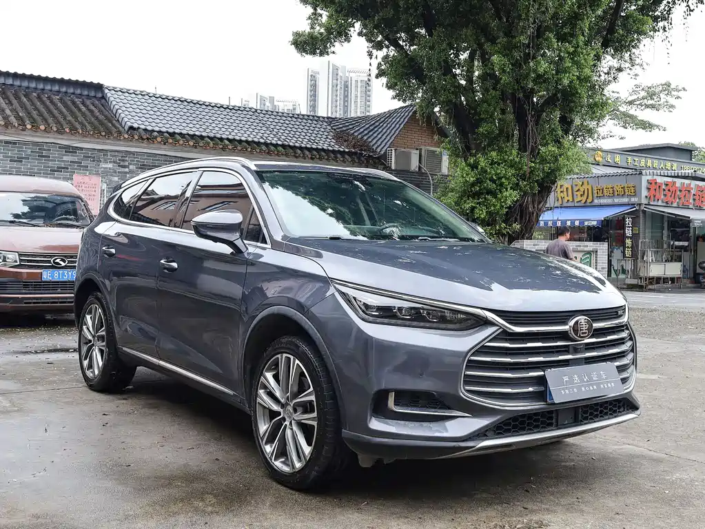 Tang 2.0 T Auto Connected Honored 7-seat CN-VI