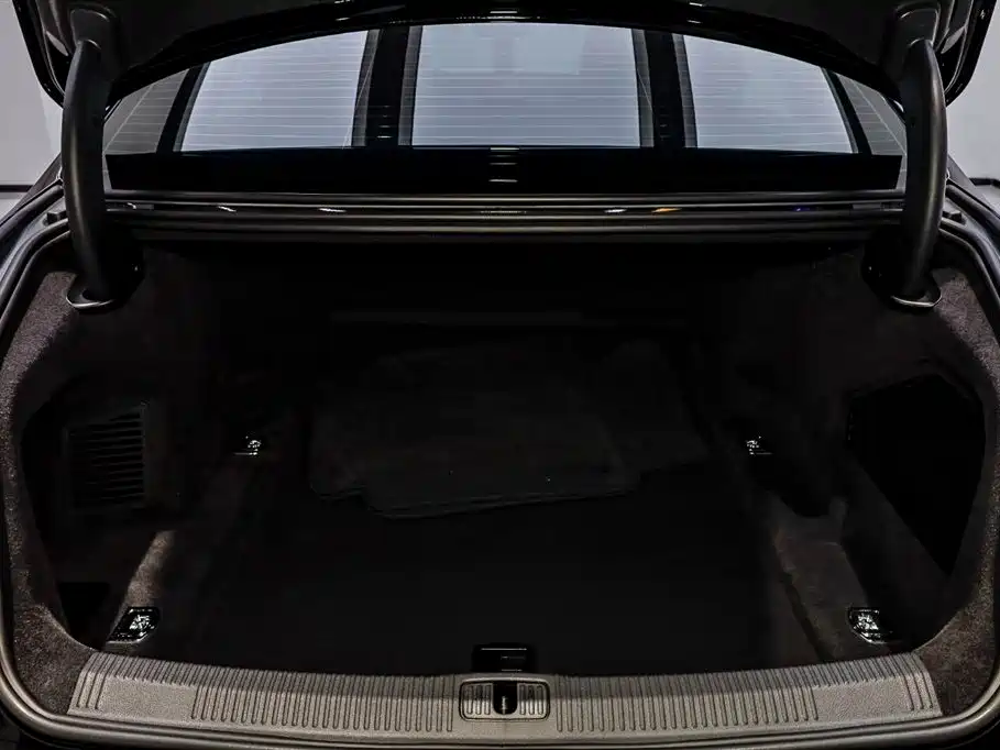 Audi A8 奥迪A8 2024款 A8 L 50 TFSI quattro 尊享型