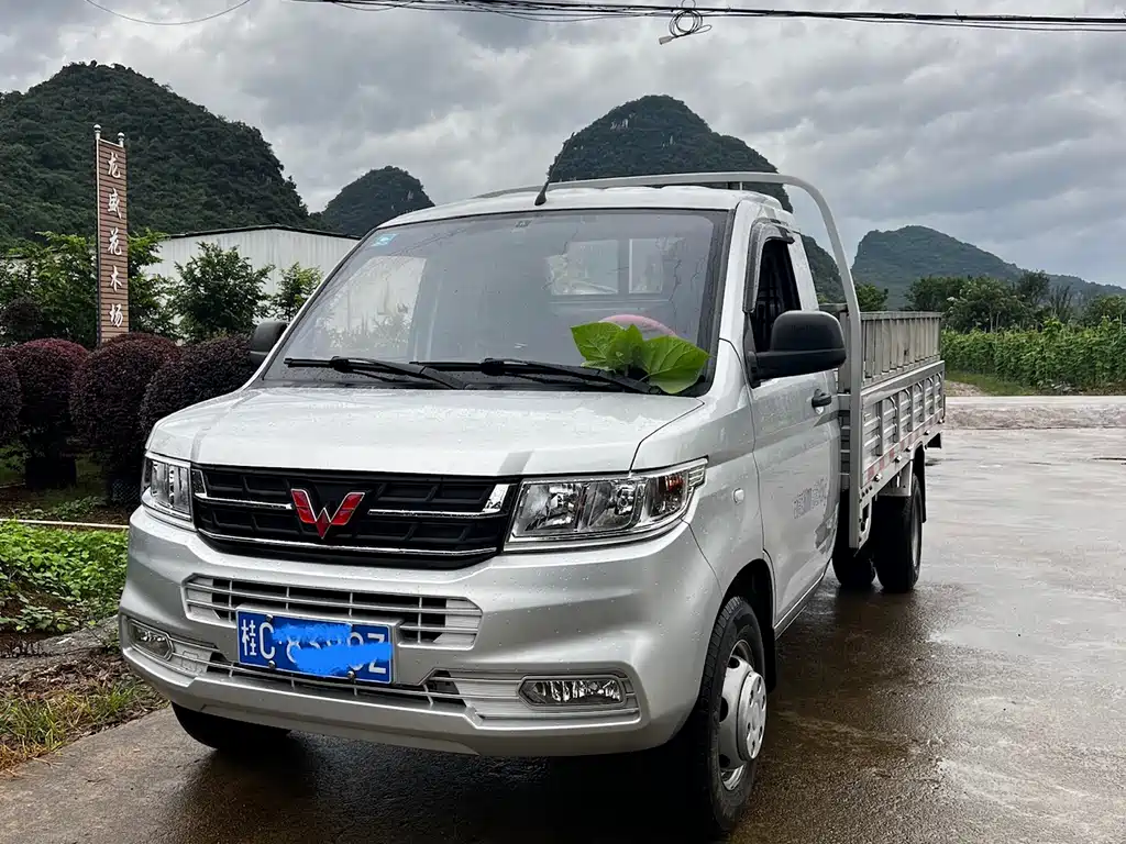 Wuling Rongguang New Truck 五菱荣光新卡 2022款 1.8 L基本型单排3.0 T吨LJ479 Q6