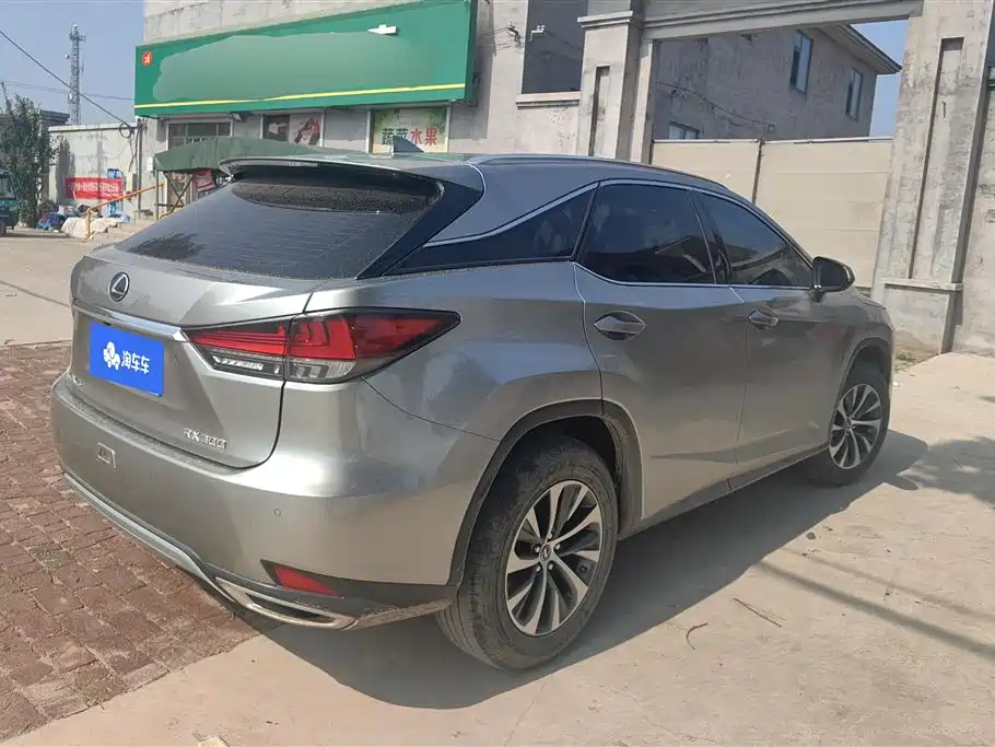 Lexus RX 300 2 WD Elite CN-VI