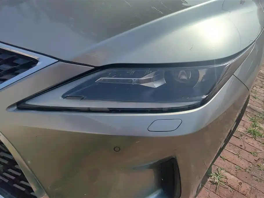 Lexus RX 300 2 WD Elite CN-VI