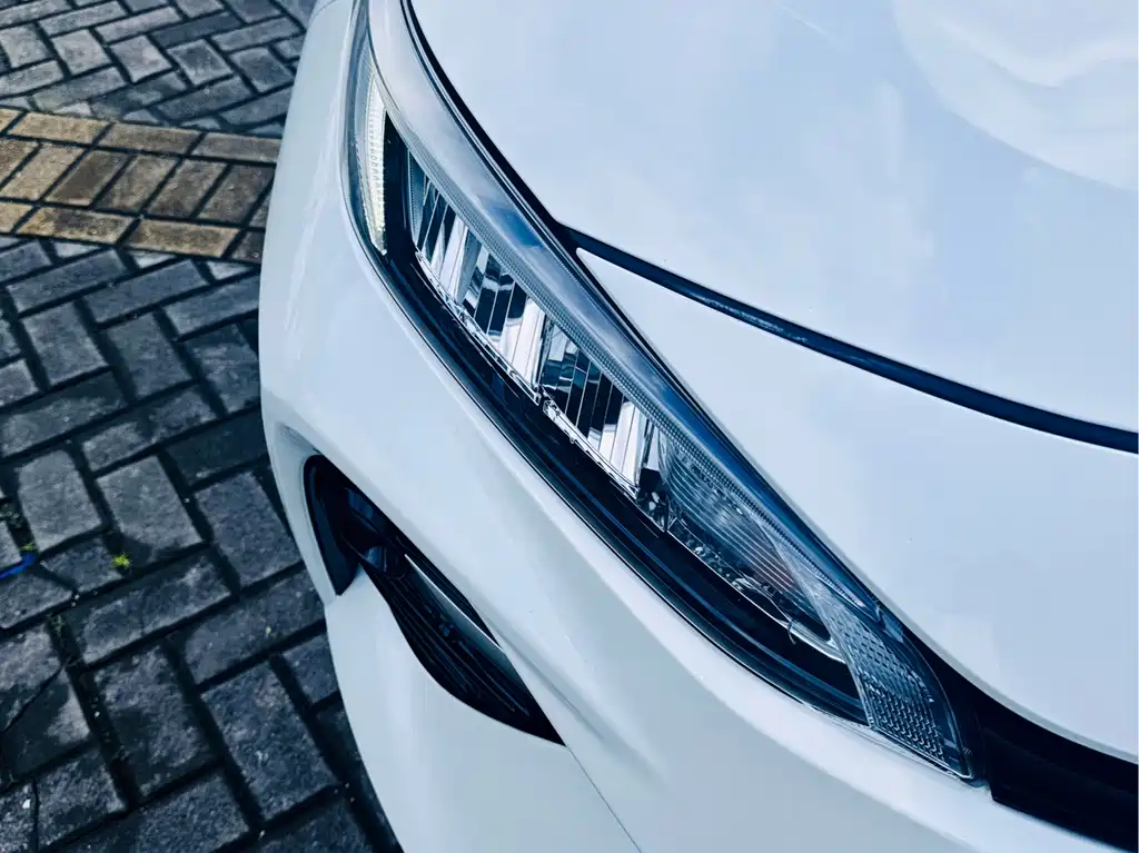 Wildlander 2.0 L CVT 2 WD Luxury PLUS