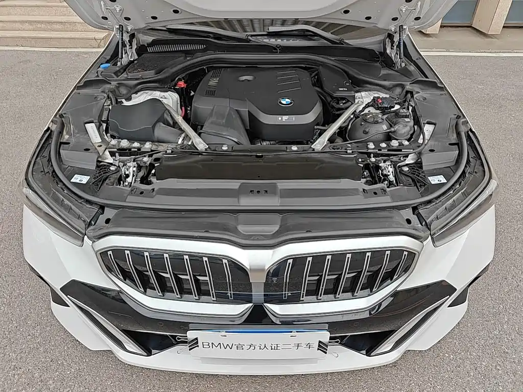 BMW 5 Series 530 Li Leading M Sport Package