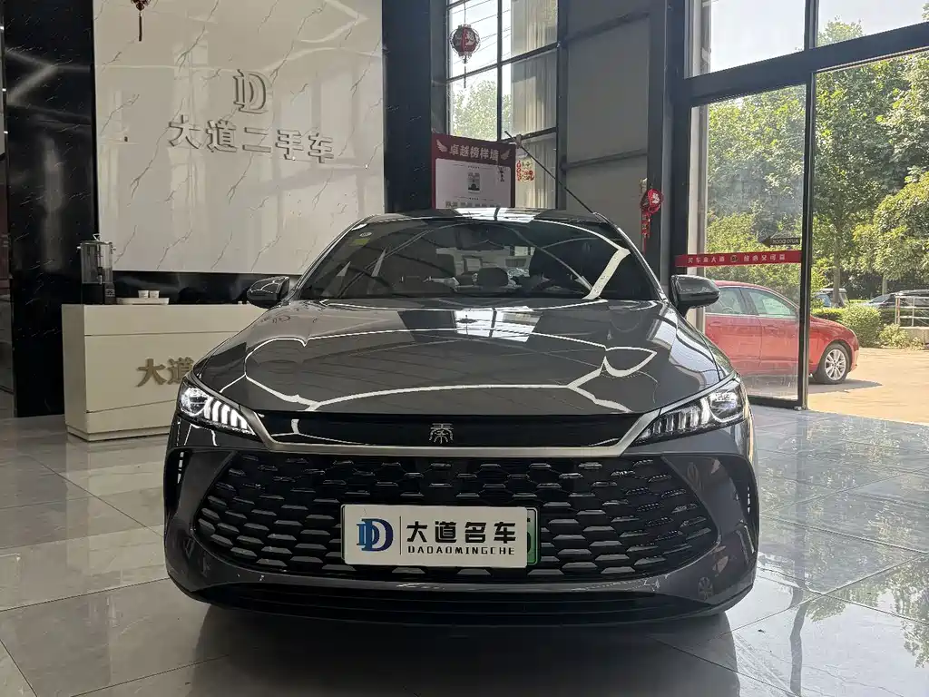 Qin PLUS DM-i 128 KM Progressive