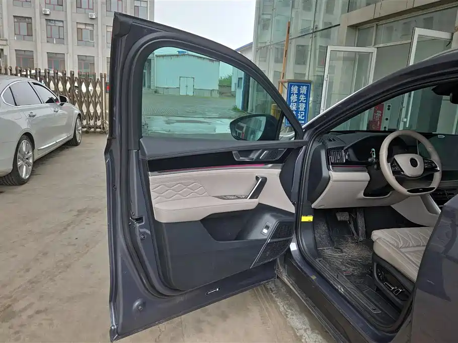 Tang NEV DM-i Glory 112 KM Flagship