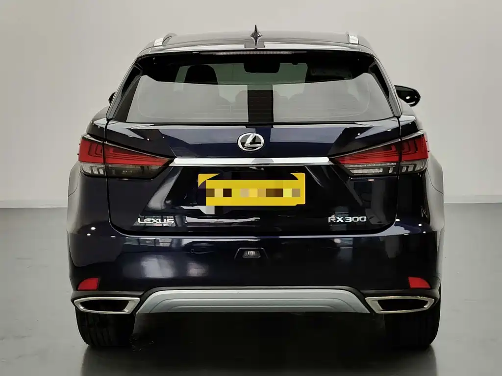 Lexus RX Facelift 300 2 WD Comfort