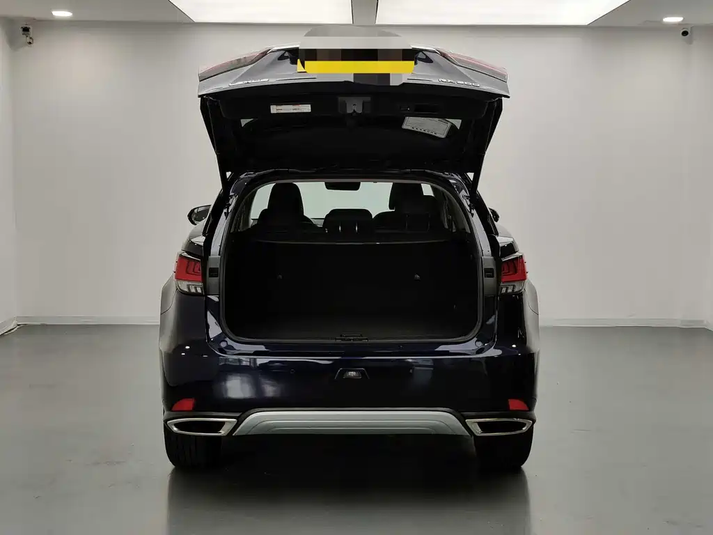Lexus RX Facelift 300 2 WD Comfort