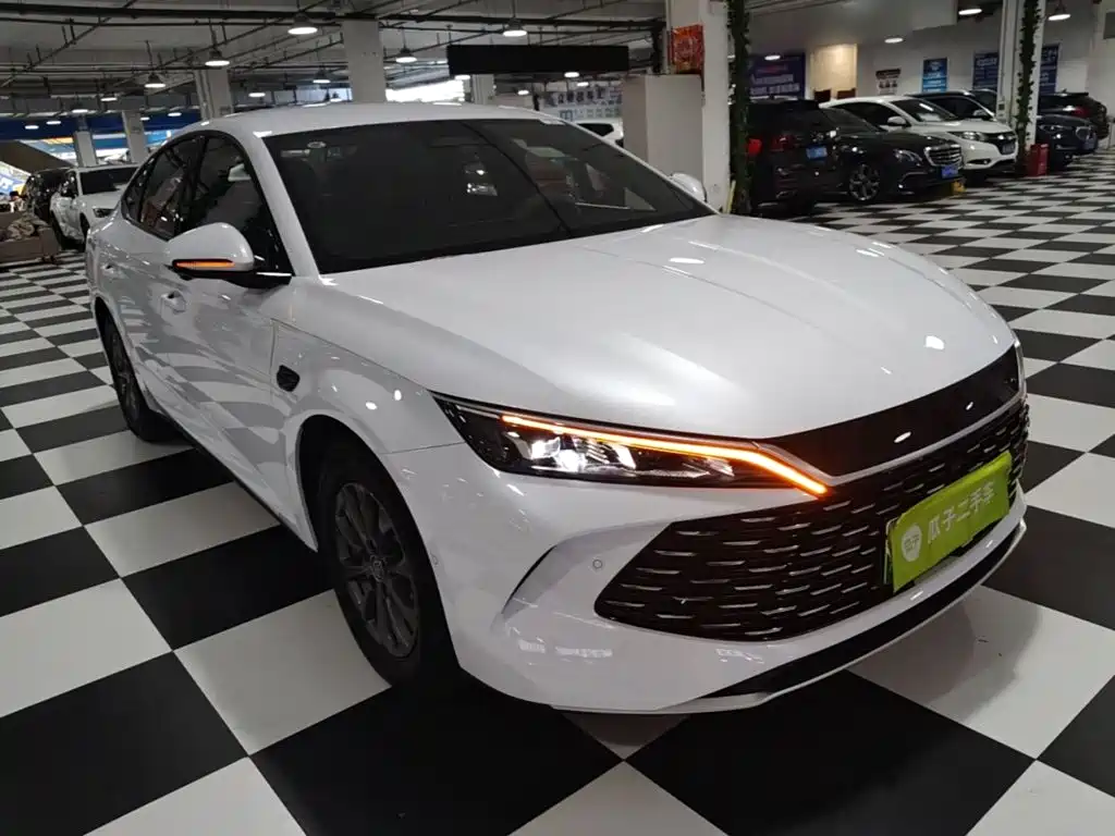 Qin L DM-i Smart Drive 80 KM Leading