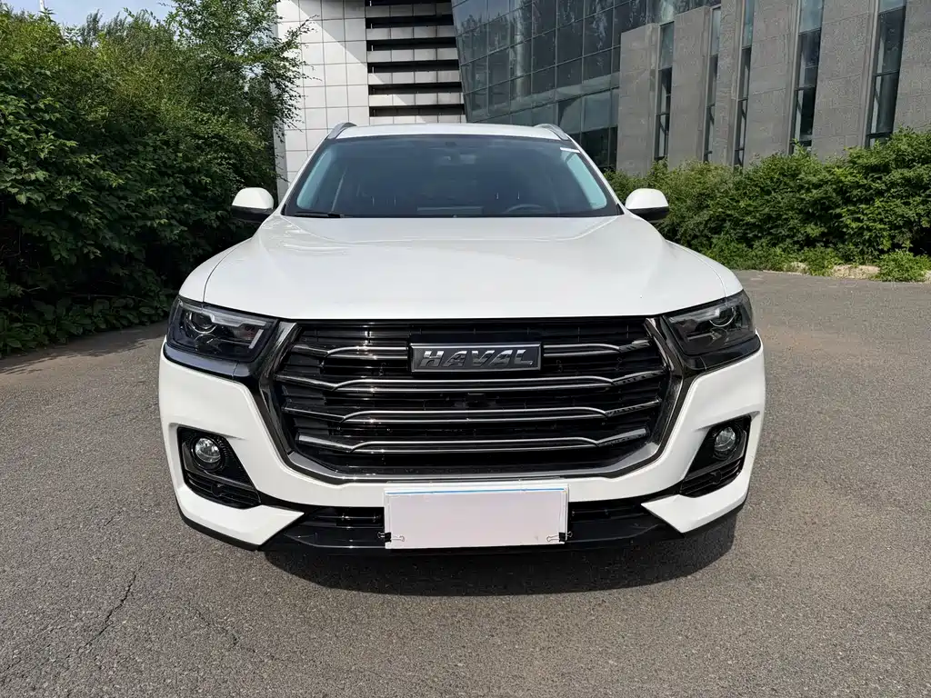 Haval H6 China Style 1.5 T Auto Urban