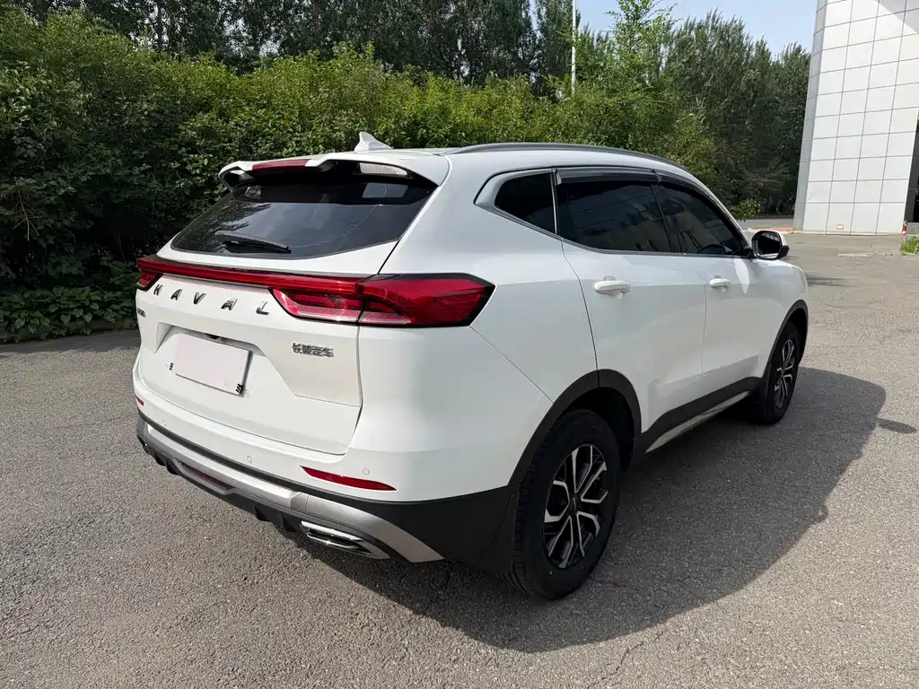Haval H6 China Style 1.5 T Auto Urban