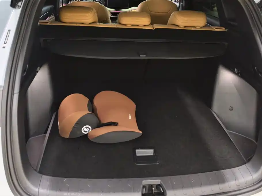 Song L DM-i 112 km Transcend