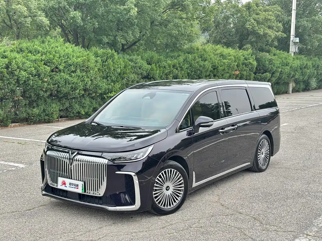 Voyah Dreamer PHEV 4 WD Distinguished Kunpeng