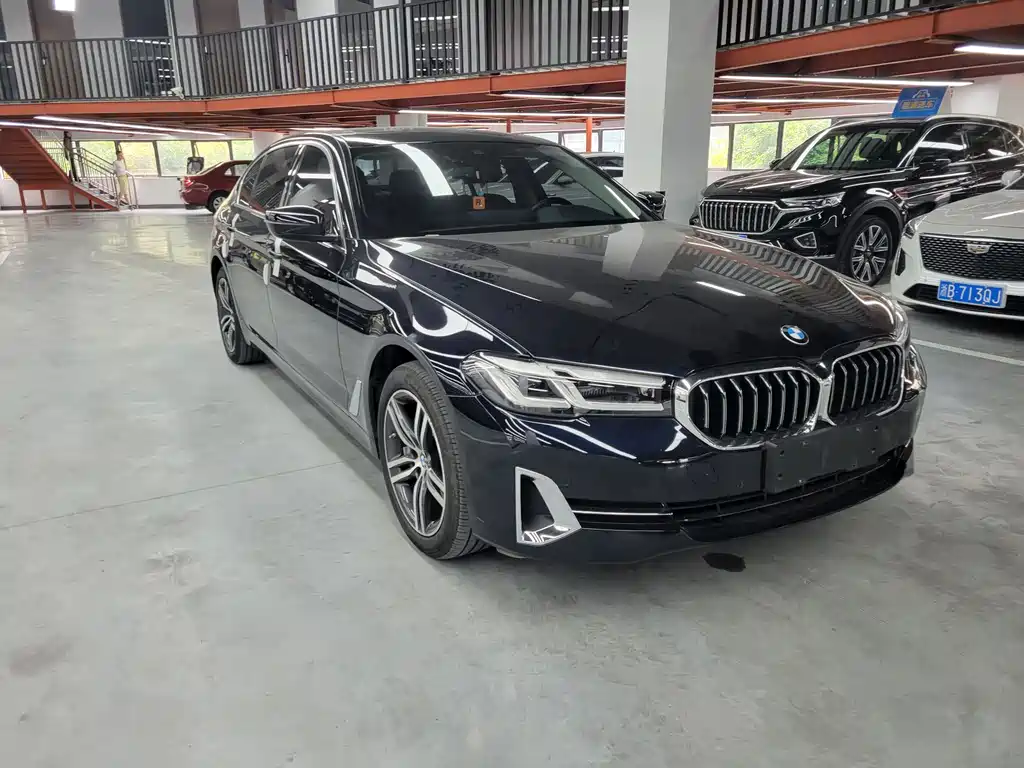 BMW 5 Series 530 Li Leading Luxury Package