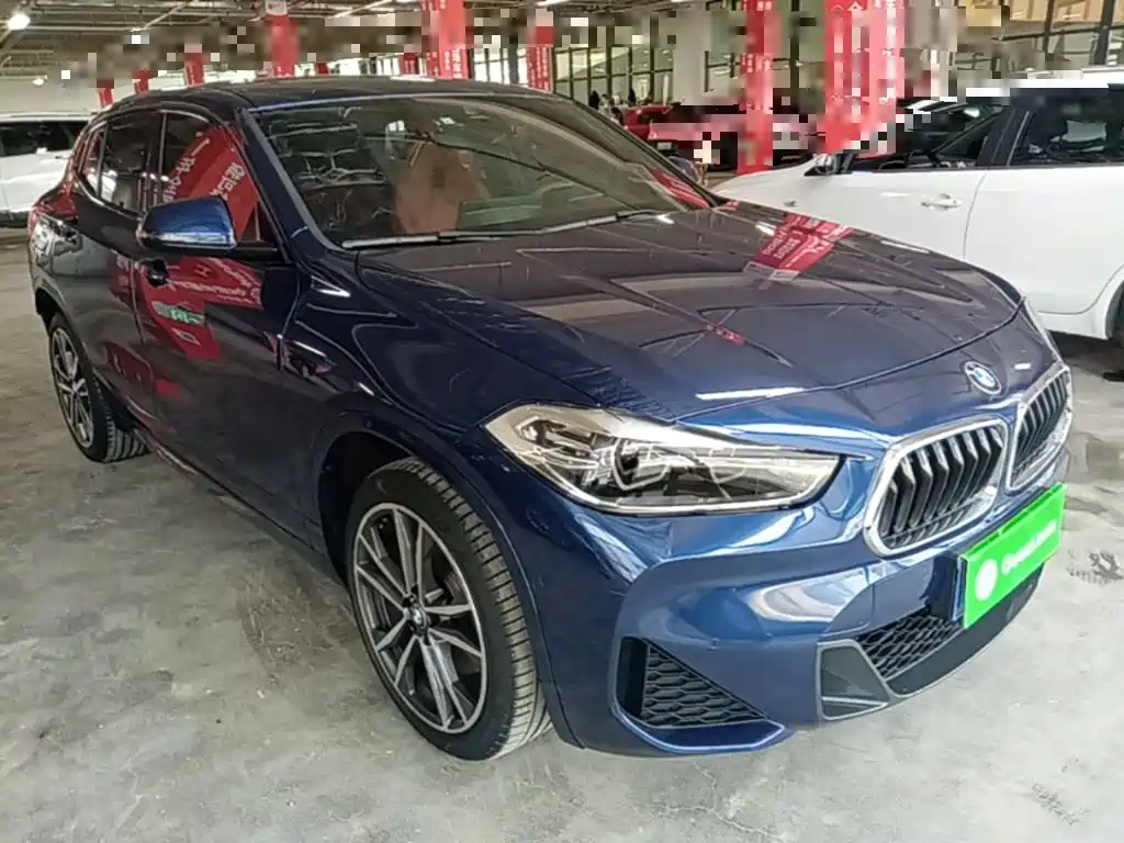 BMW X2 xDrive25 i M Sport Package
