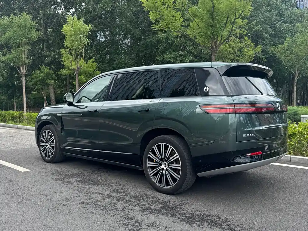 Denza N9 Flagship