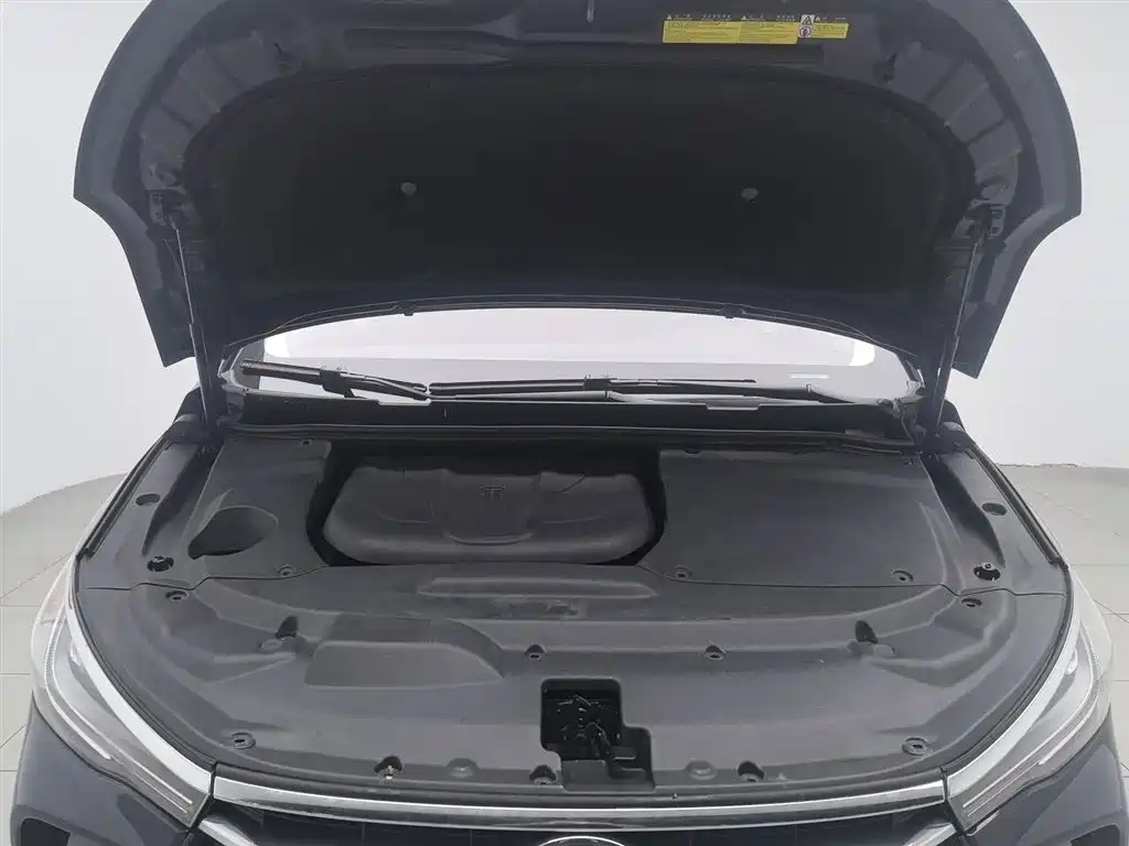 Song MAX 1.5 T Auto Connected Premium 6-seat