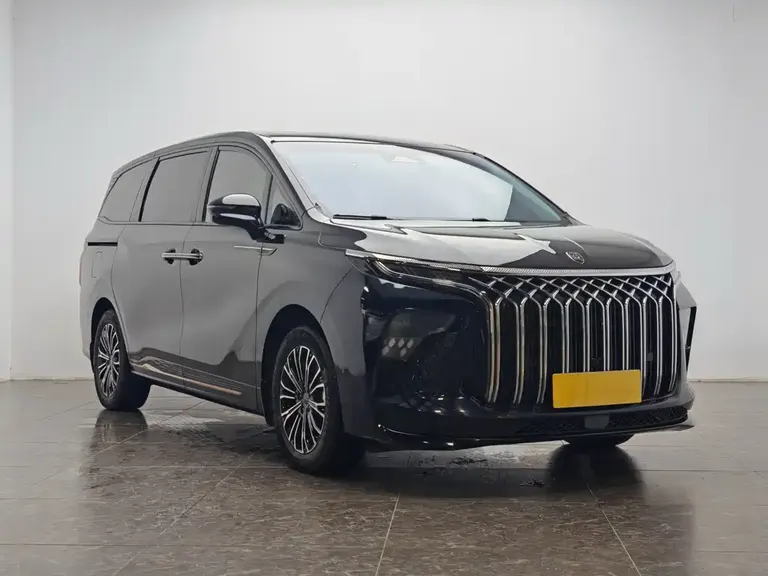 Dongfeng Xinghai V9 星海V9 2024款 1.5 TD 100 km 中国结系列 豪华型