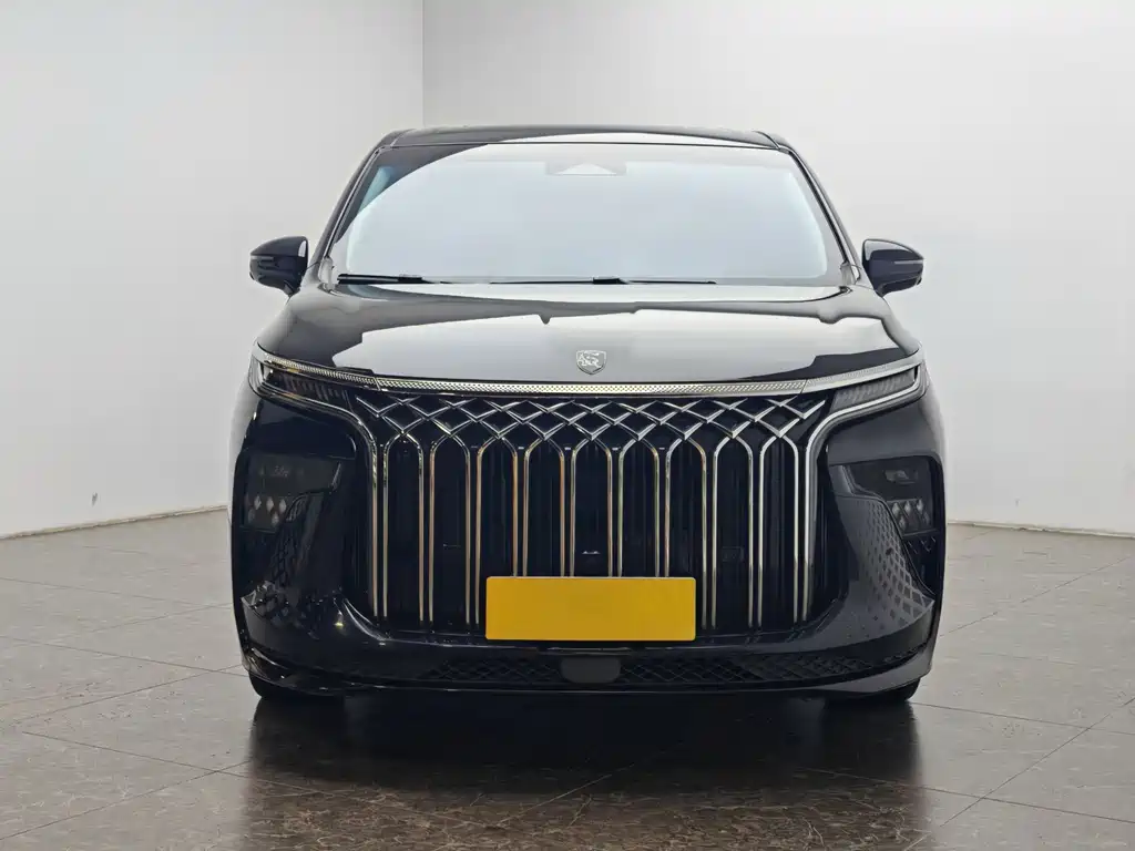 Xinghai V9 星海V9 2024款 1.5 TD 100 km 中国结系列 豪华型