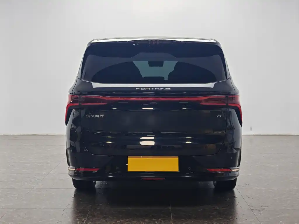 Xinghai V9 星海V9 2024款 1.5 TD 100 km 中国结系列 豪华型