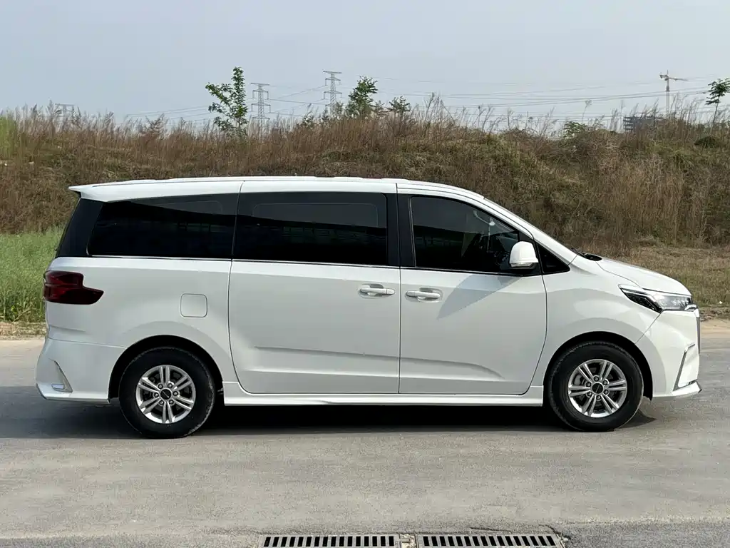 Maxus G20 ES 2.0 T Gasoline Auto Value
