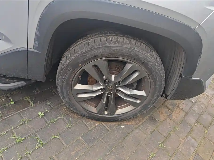 Baojun RS-5 1.5 T CVT Intelligent Drive Control Luxury CN-VI