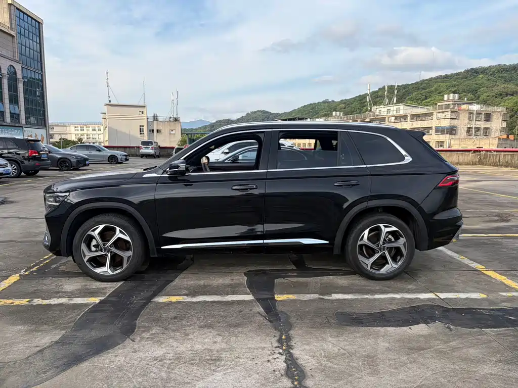 Xingyue L 2.0 TD High Power Auto 2 WD Flagship