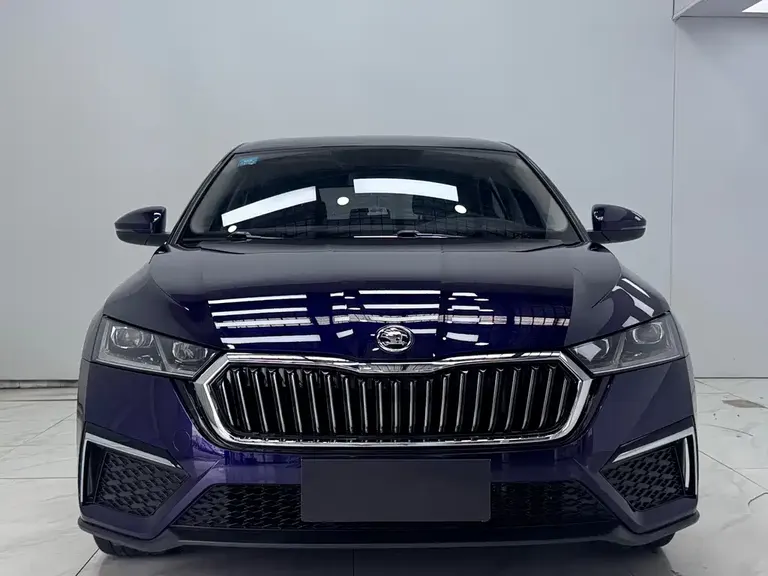 Skoda Octavia PRO TSI280 DSG Luxury