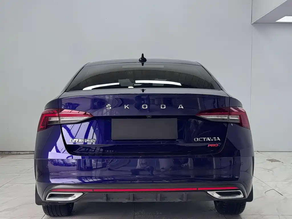 Octavia PRO TSI280 DSG Luxury