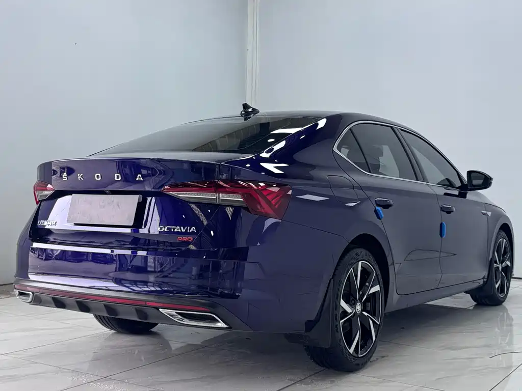 Octavia PRO TSI280 DSG Luxury