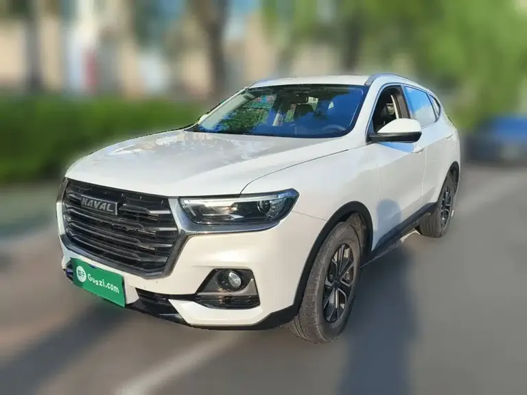 Haval H6 China Style 1.5 T Auto Urban