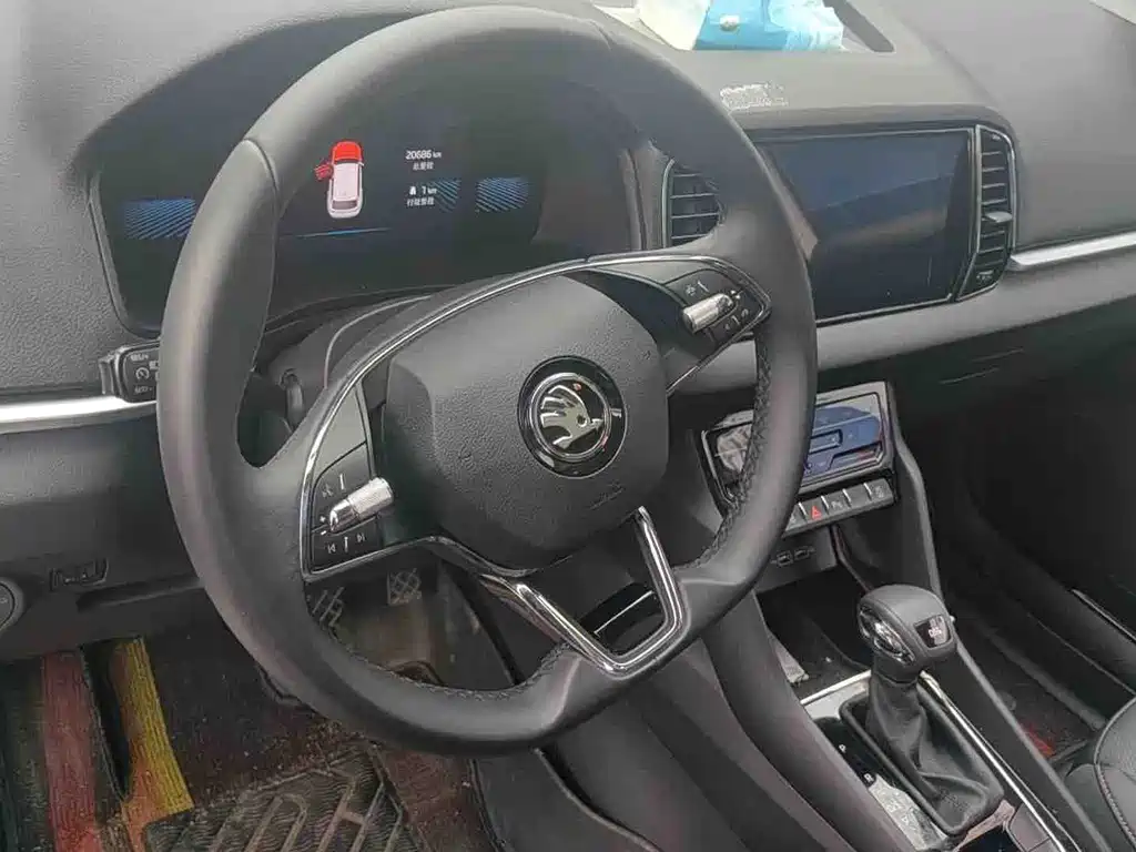 Karoq TSI280 Premium