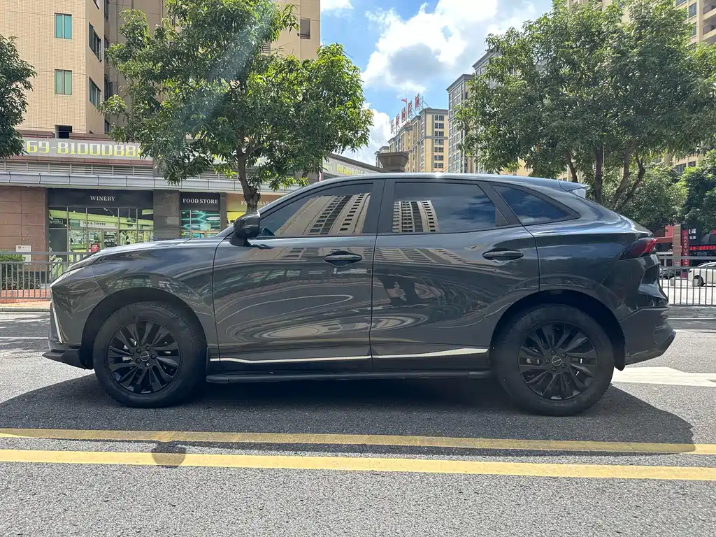 Fengxing T5 EVO 风行T5 EVO 2024款 狂飚版 1.5 TD DCT马赫钻石款
