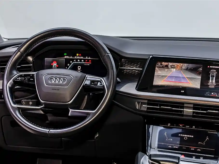 Audi Q6 40 TFSI quattro Cloud View Feather Package 7-seat