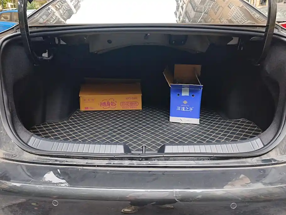 Sagitar 300 TSI DSG Transcend