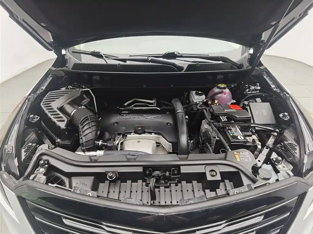 Cadillac XT5 28 T 4 WD Luxury